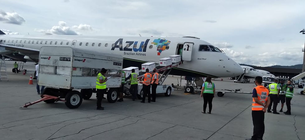Aviação: Azul realiza operação logística para levar vacina para 12 capitais do Brasil
