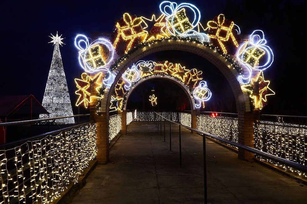 Em Holambra, Noeland é opção de passeio no interior paulista para curtir a magia do Natal