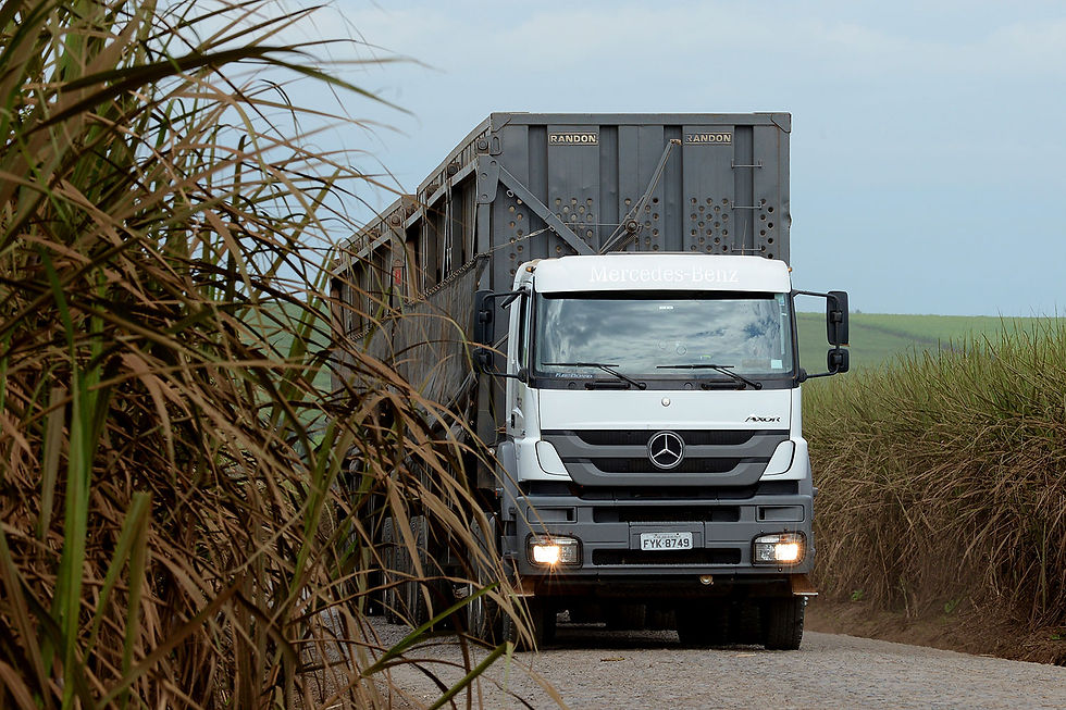 Mercedes-Benz vende 140 caminhões extrapesados Axor para a Ouro Verde