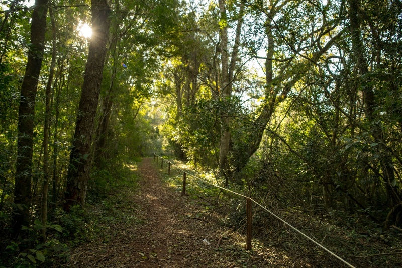 Parque Nacional do Iguaçu celebra recorde histórico de visitação em agosto