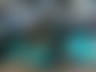 Marcopolo celebra marco histórico: Geração 8 ultrapassa 5 mil unidades e reforça presença global