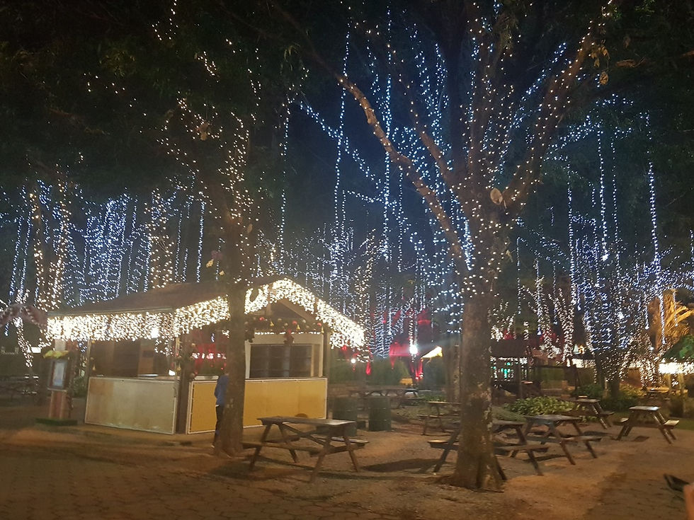Em Holambra, Noeland é opção de passeio no interior paulista para curtir a magia do Natal