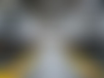 Ferrovia: Talgo cresce 33,5% em 2023 e melhora previsões para o ano