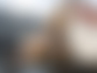 Logística: Maersk anuncia aquisição da Pilot Freight Services