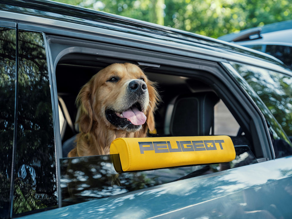 Peugeot cria conceito do E-5008 pensado para cães e seus tutores