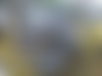 Maior encontro de veículos antigos do Brasil começa hoje