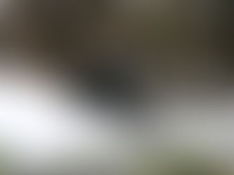 5 atividades de inverno inusitadas na Noruega