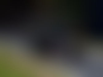 F2: Enzo Fittipaldi larga na pole position da corrida Sprint neste sábado em Monza