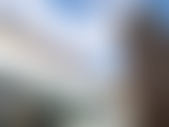 Hyundai inaugura na região amazônica sua concessionária mais sustentável 