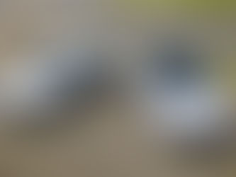 Novo Nissan Sentra chega ao Brasil em sua oitava geração e a partir de R$ 148.490