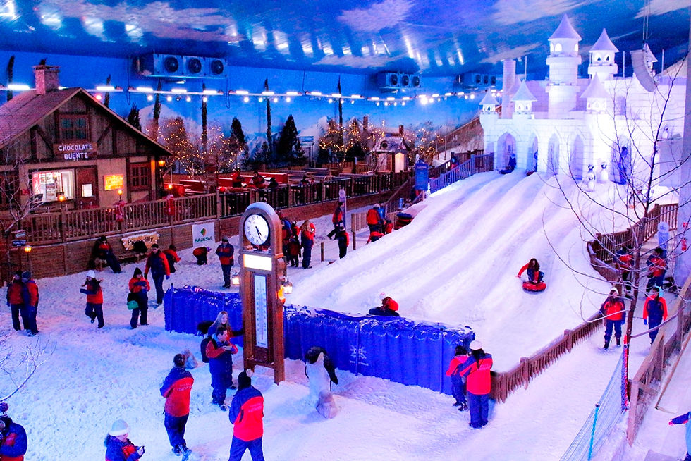 Único parque de neve das Américas, Snowland celebra 5 anos como uma das principais atrações turísticas do Brasil