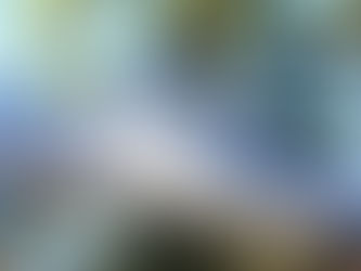 Localizado a 160 km de São Paulo, Monte Verde ganha resort de luxo