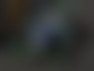 Português Félix da Costa, rei e senhor em Macau.