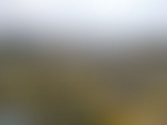 Aviação: Novo Pilatus PC-24, da Synerjet, vai passar por 15 países da América Latina