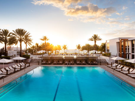 Hotéis abrem as portas para os animais de estimação e atraem turistas