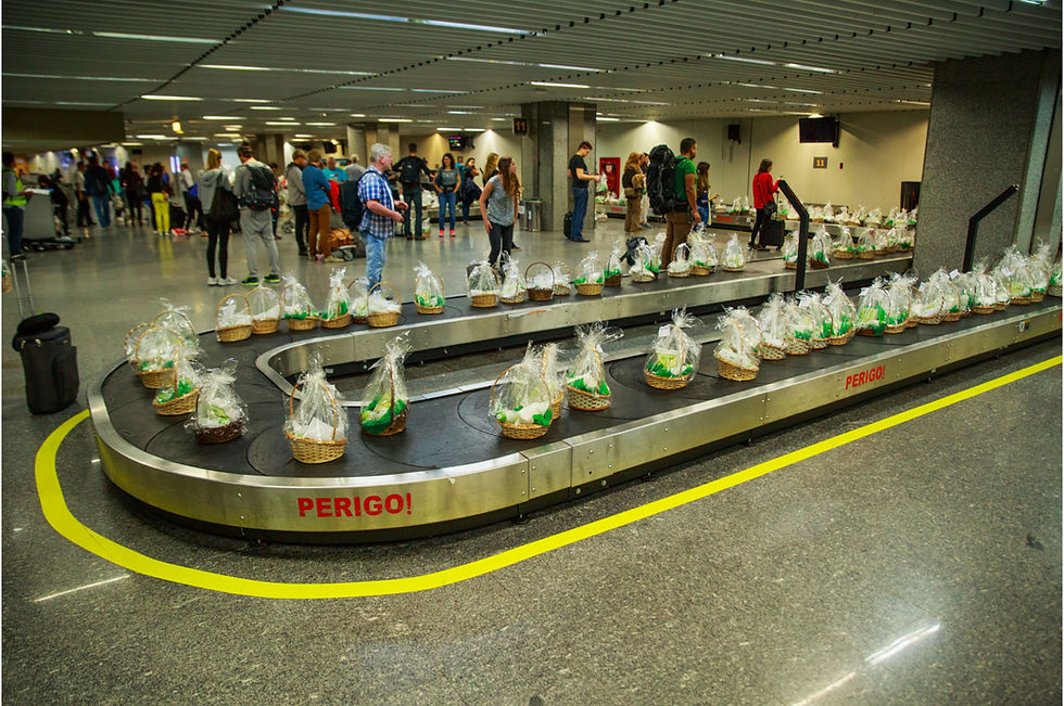 Condor inicia operação no aeroporto do RIOgaleão com viagens para Alemanha