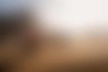 Lucas Moraes termina o Rally Dakar 2026 em sétimo lugar e soma primeiros pontos no Mundial