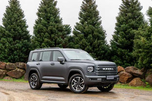 Expressas: GWM cresce 215% no Brasil e Haval H9 desbanca Toyota SW4 entre SUVs grandes