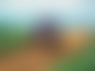 Rallymakers UTV Cup: Rally Baja ganha uma nova competição