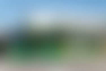 Maior ônibus elétrico do mundo começa a rodar no Brasil e reforça BRT de Goiânia