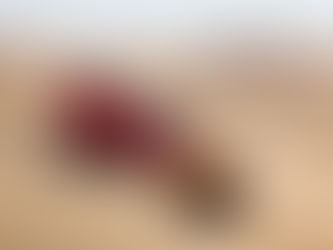 Em parceria com a Prodrive, X Rally Team abre base em Portugal para atender pilotos na Europa