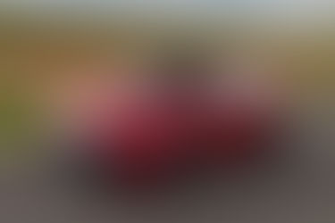 GR Yaris chega ao Brasil por R$ 354.990 com motor de 304 cv e produção limitada