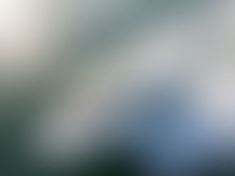 Brunswick apresenta o melhor da Sea Ray no SP Boat Show 2017