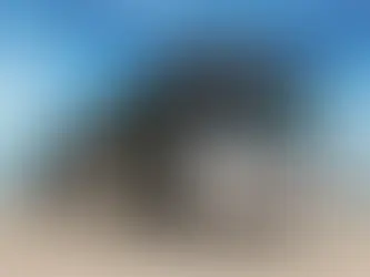 Grupo Soulan está com 300 vagas para motoristas de ônibus e caminhões em Portugal