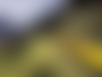 DHL lança um trem direto de frutas e vegetais de Valencia para Roterdã