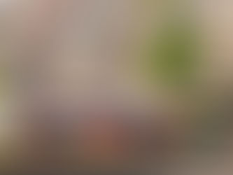 WRC: Neuville consegue primeira vitória da temporada em casa