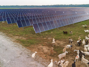 GM atinge 100% de energia renovável nos EUA e lidera transição entre montadoras