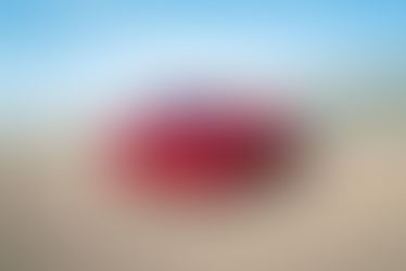 Mustang Dark Horse SC leva engenharia de competição da Ford Racing para um novo patamar nas ruas