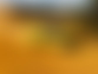 Equipe X Rally Team domina no Jalapão