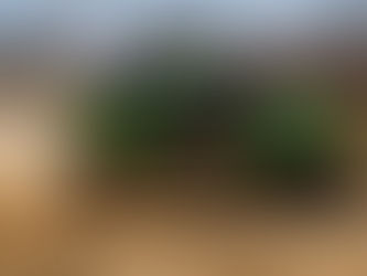 Sertões 2021: Após etapa maratona, rali continua sem mudanças nos lideres