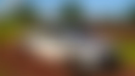 Ram Dakota estreia no Brasil e marca entrada da marca no disputado segmento de picapes médias