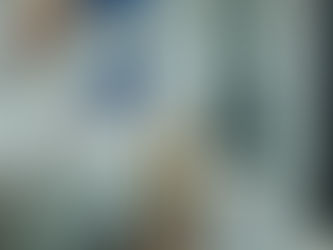 Nova geração das gasolinas Grid e Podium chega aos Postos Petrobras