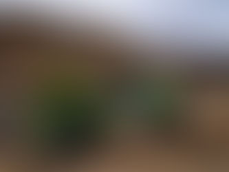 Sertões 2021: Irmãos Rodrigo e Gabriel Varela são desclassificados e equipe contesta a decisão