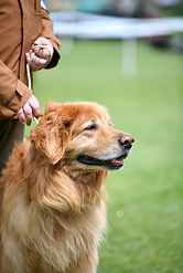 DSC_0155_ls.jpg