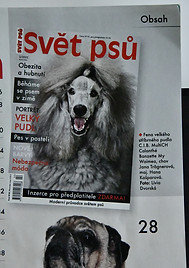 DSC_9727.jpg