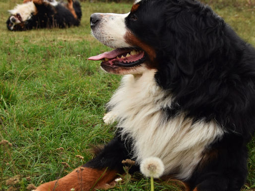 Říjen a listopad 2018