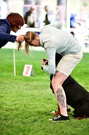 Pojizerska MB 8.5.2023