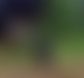 Psí víkend na Kocandě červen 2014