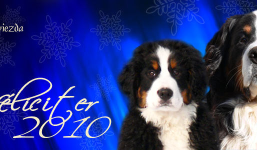 Krásné a pohodové svátky