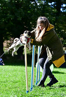 DSC_5498.JPG
