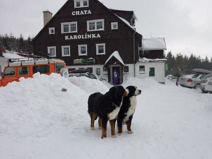 Kluci na horách, únor 2012