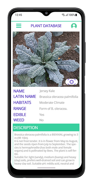 plant DB.png