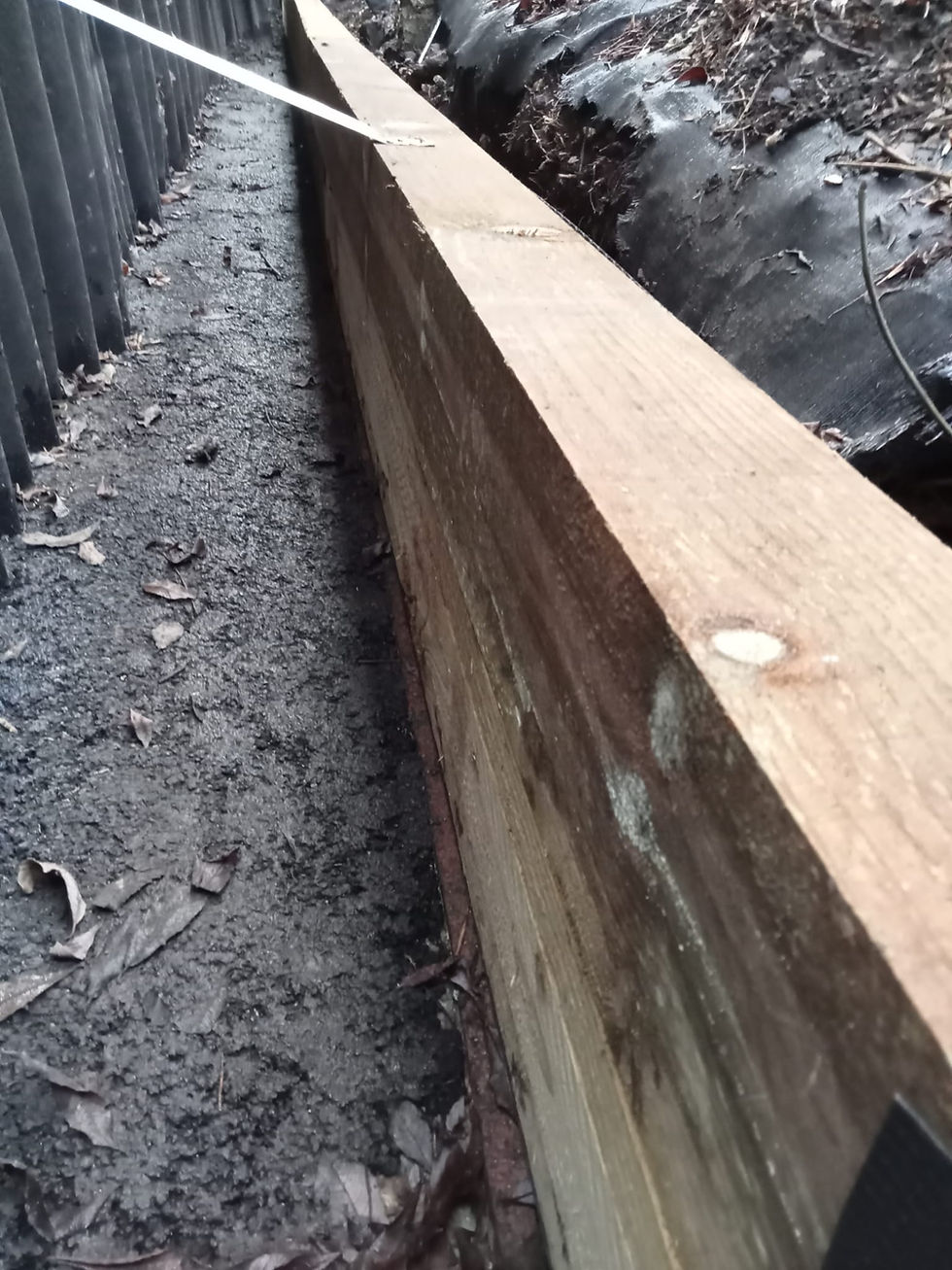 Andrew - A view from the trench