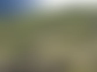 Aðalfundur og ársveitsla 18.apríl