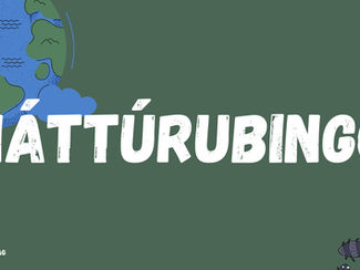 NÁTTÚRUBINGO - Kom út í náttúruna í summar! 🌿