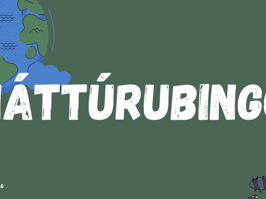 NÁTTÚRUBINGO - Kom út í náttúruna í summar! 🌿